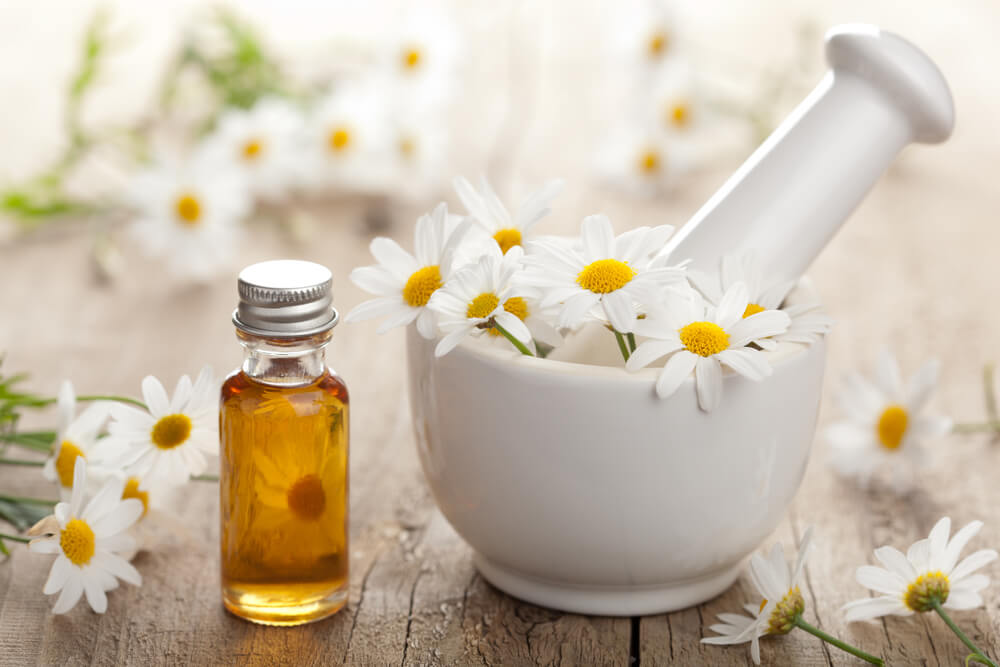 chamomile extract for skin