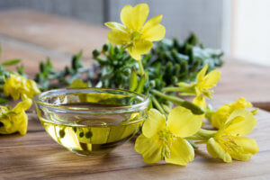 skin benefits of evening primrose oil