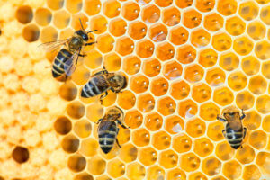 skin benefits of beeswax