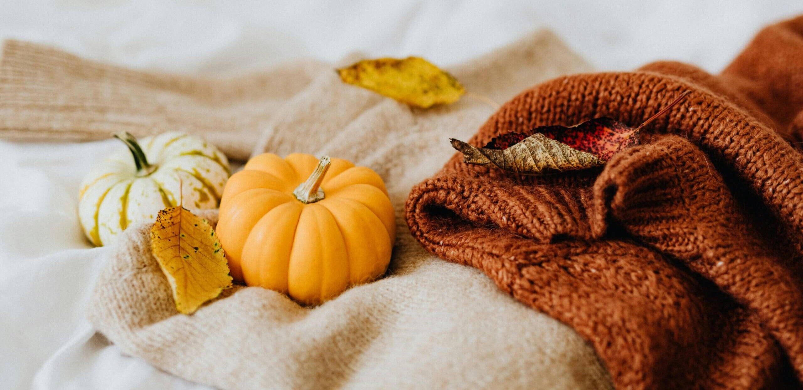 Two pumpkins on a knit sweater