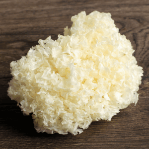 Tremella Mushroom 